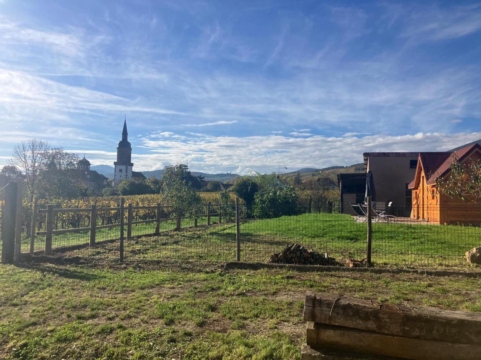 Domaine Rosfelder - Locations De Gite Et Cabane Insolite Gertwiller Exterior photo